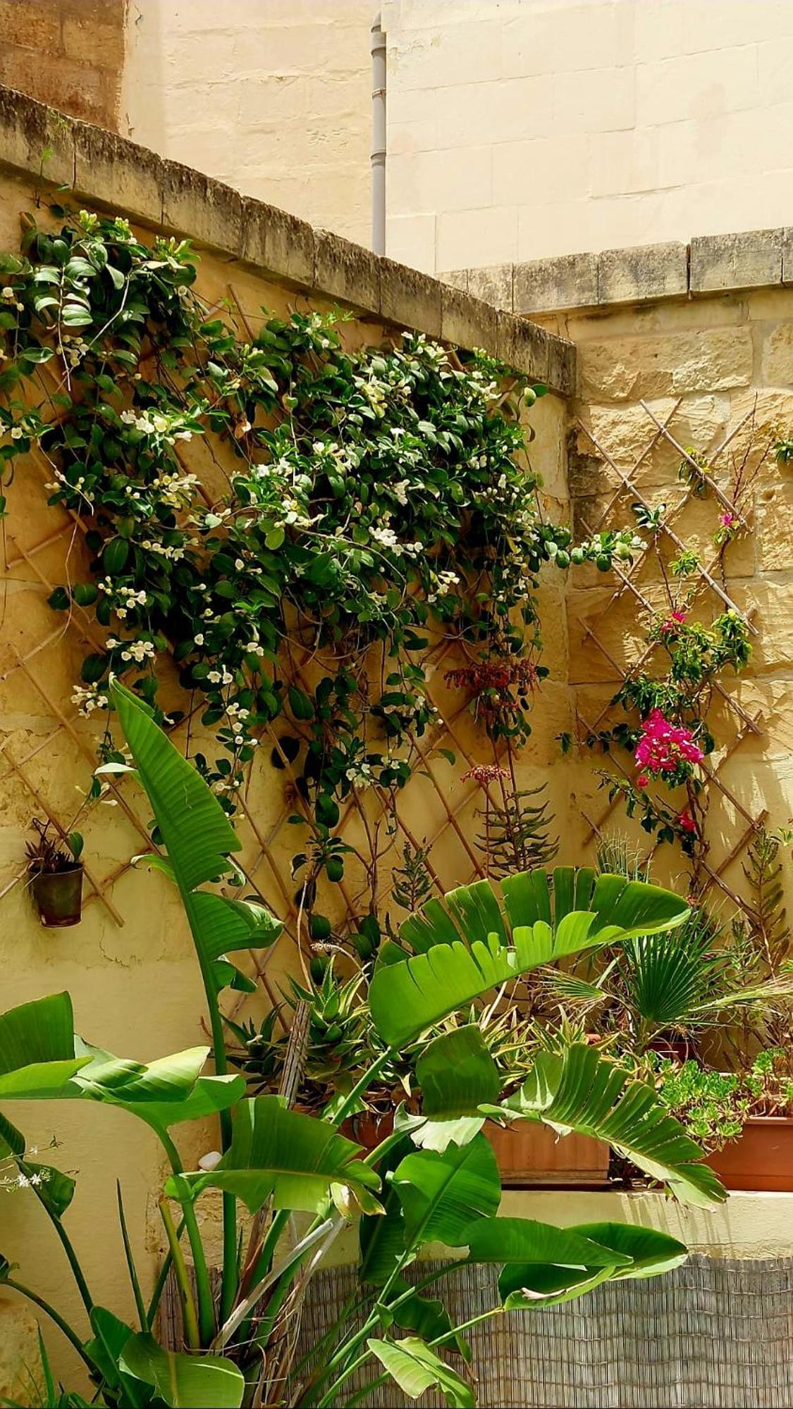 Ta' Didi B&B Kercem Luaran gambar